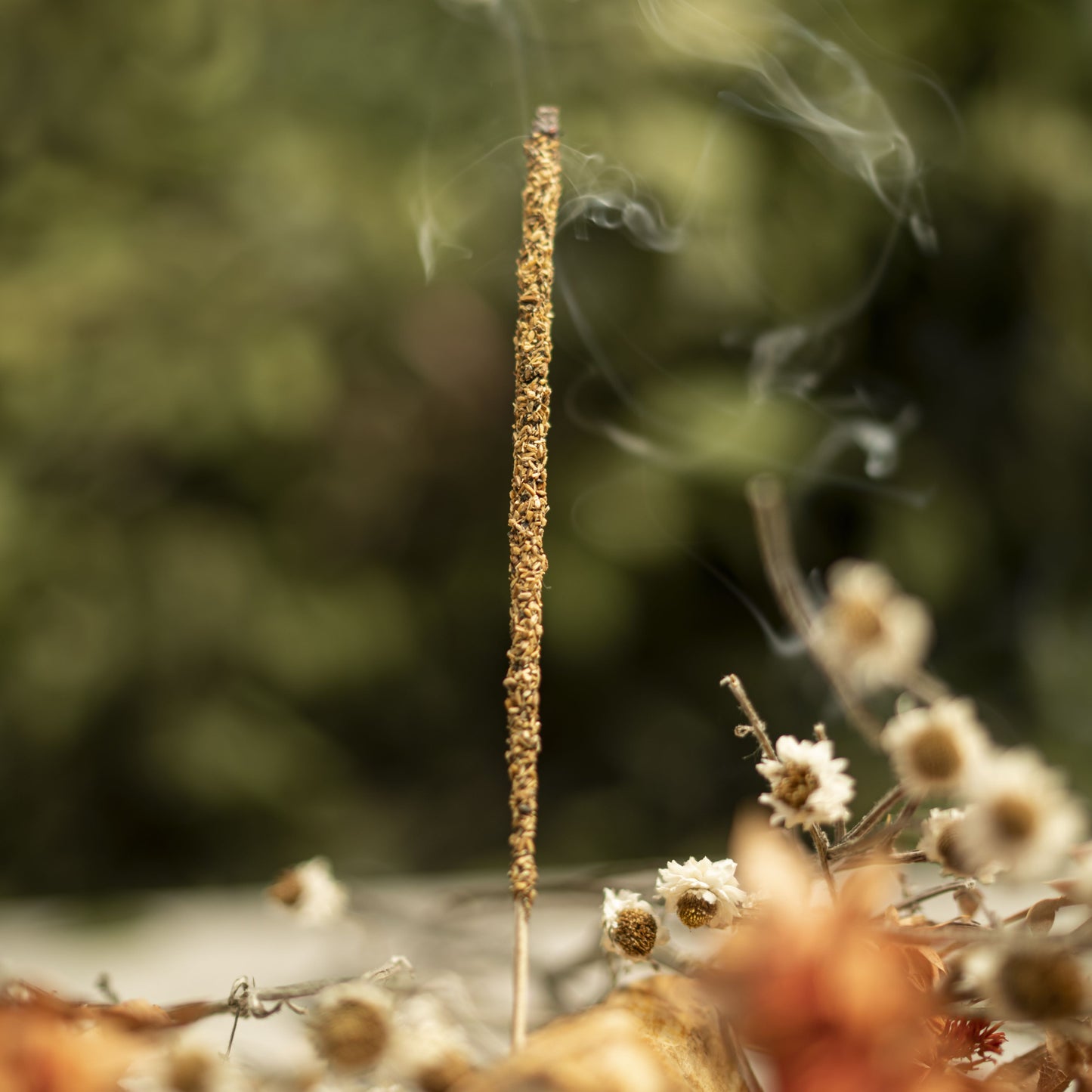 Incienso Patagonia Yerba Mate y Menta Sagrada Madre - Estimulante Natural