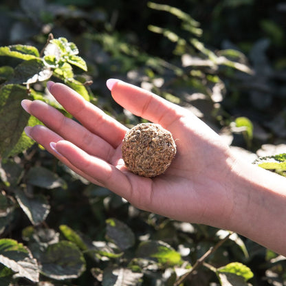Bomba Herbal  XL Sagrada Madre Purificación · Purificación y Equilibrio Energético