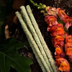 Incienso Sagrada Madre Botánico Fresias - Romance, Alegría y Paz