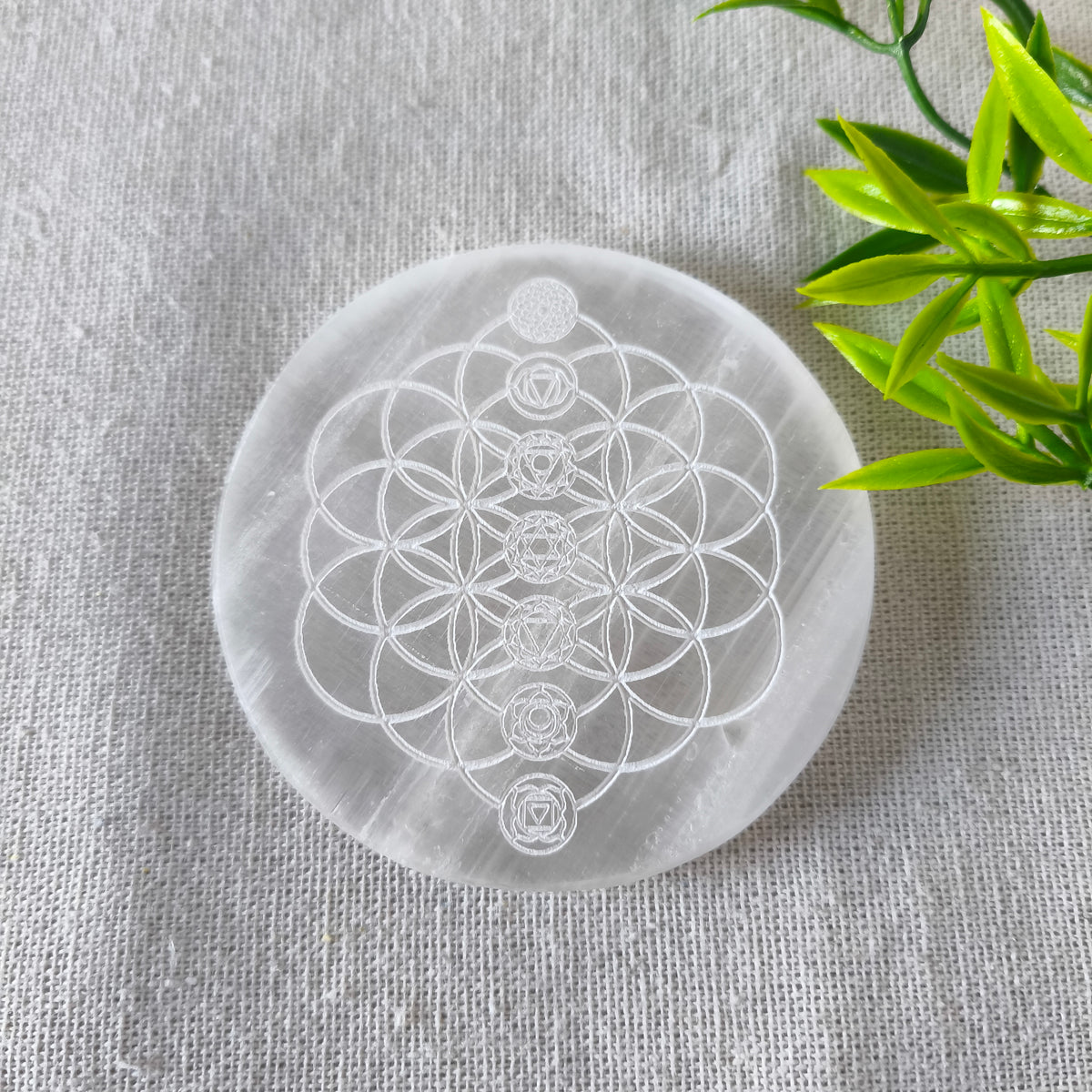 Placa Redonda de Selenita  Grabada Flor de la Vida y 7 Chakras | Limpieza y Equilibrio Energético