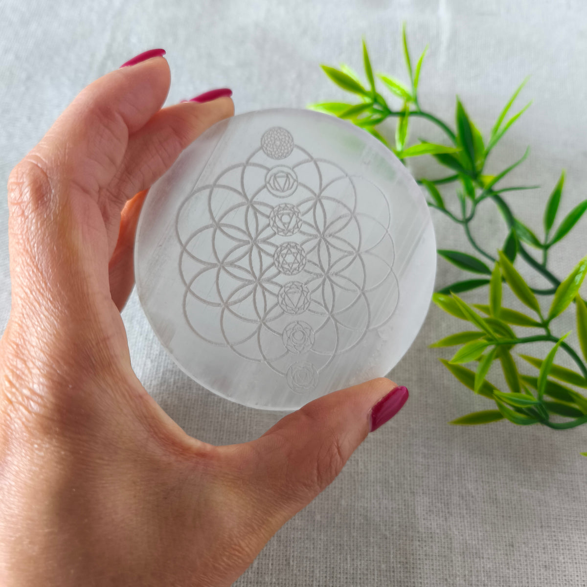 Placa Redonda de Selenita  Grabada Flor de la Vida y 7 Chakras | Limpieza y Equilibrio Energético