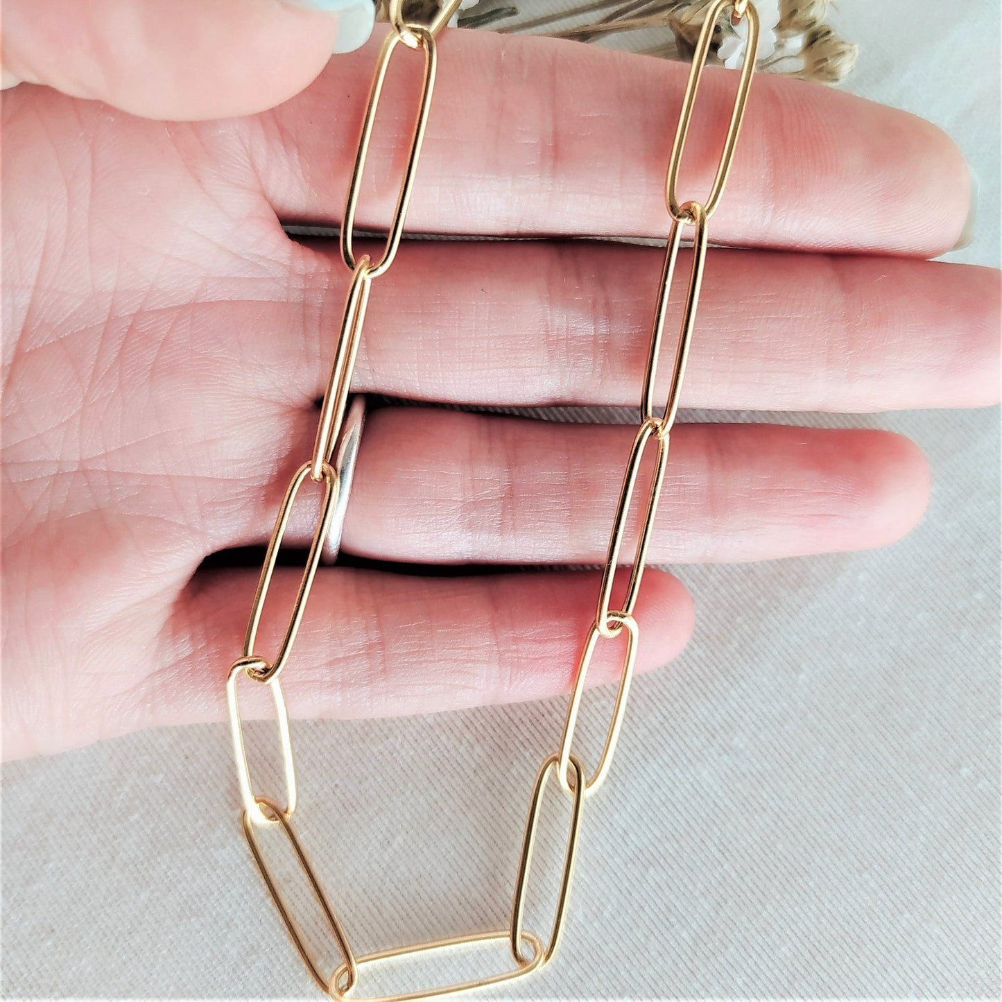 Collar Daria